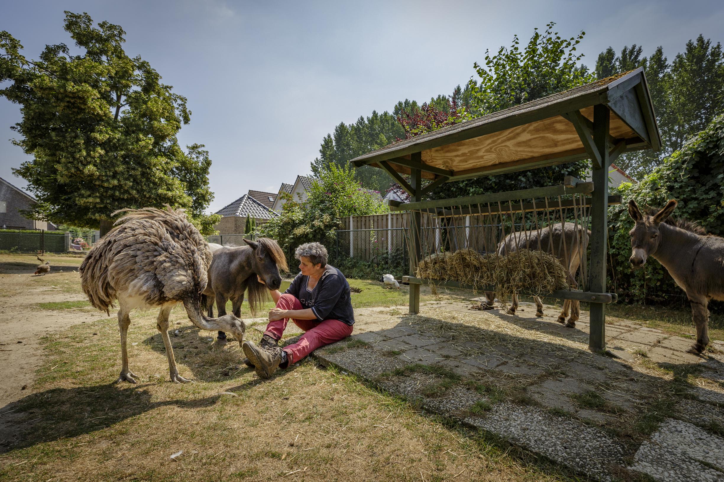 Crowdfunding voor nieuwe dierenverblijven kinderboerderij ’t Brombemke in Sint Odiliënberg